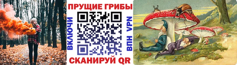 закладка  Высоковск  Галлюциногенные грибы GOLDEN TEACHER 